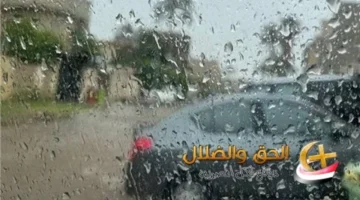شبورة وأمطار.. تعرف على تفاصيل حالة طقس السبت 8 نوفمبر وارتفاع مفاجئ في درجات الحرارة